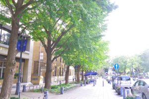 人生哲学 ポリシー カウンセリング 大阪 心理オフィスステラ